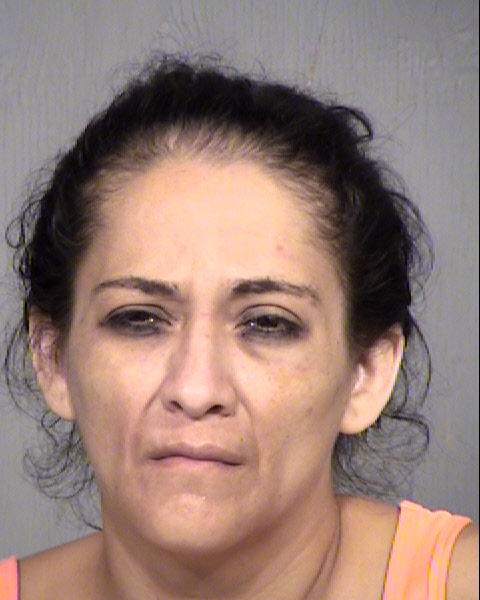 LESA ALANIZ Mugshot / Maricopa County Arrests / Maricopa County Arizona