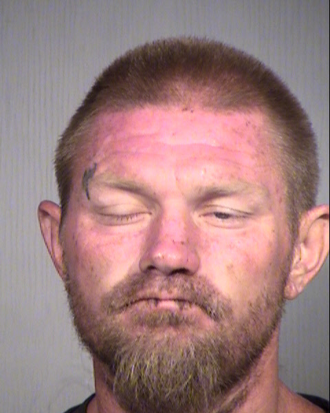 BRADLEY RAY TIMONEN Mugshot / Maricopa County Arrests / Maricopa County Arizona