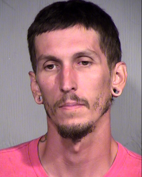THOMAS LYNNE WYGANT Mugshot / Maricopa County Arrests / Maricopa County Arizona