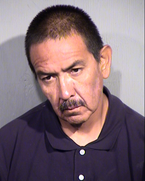 JOHNNY PAUL HOLLISTER Mugshot / Maricopa County Arrests / Maricopa County Arizona
