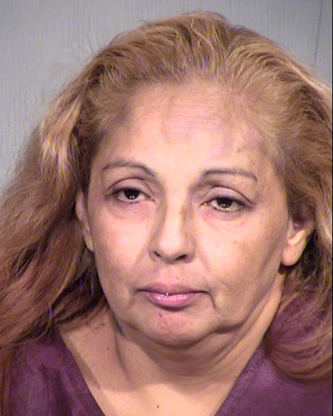 AMELIA TORRES Mugshot / Maricopa County Arrests / Maricopa County Arizona