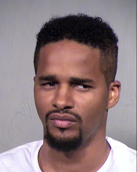 LEE HERSCHEL MURE Mugshot / Maricopa County Arrests / Maricopa County Arizona