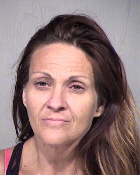 KRISTIN MELISSA JOHNSON Mugshot / Maricopa County Arrests / Maricopa County Arizona