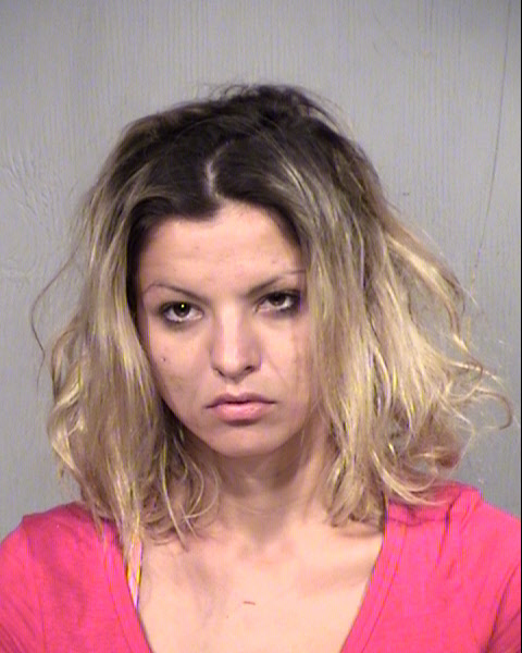LJILJANA M RADOVANOVIC Mugshot / Maricopa County Arrests / Maricopa County Arizona