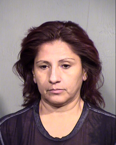 DIANA GARCIA Mugshot / Maricopa County Arrests / Maricopa County Arizona
