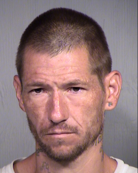 MICHAEL WILDMO Mugshot / Maricopa County Arrests / Maricopa County Arizona