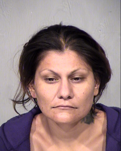 LAURIE LEECINA SIMMONS Mugshot / Maricopa County Arrests / Maricopa County Arizona