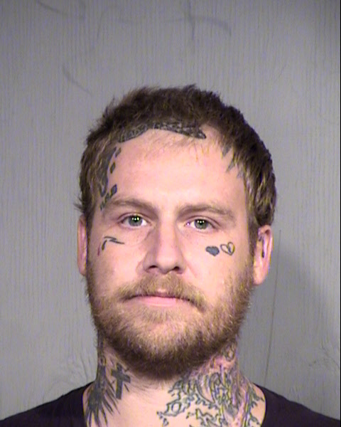 DOMENIC JOSEPH VIVIANO Mugshot / Maricopa County Arrests / Maricopa County Arizona