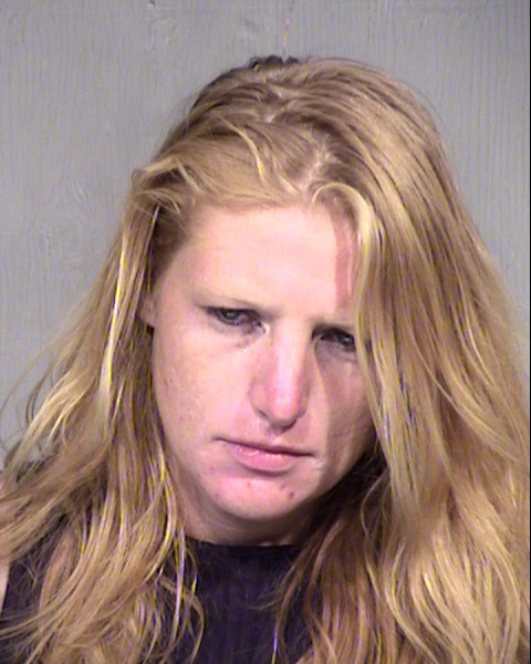 ASHLEY N HAYES Mugshot / Maricopa County Arrests / Maricopa County Arizona