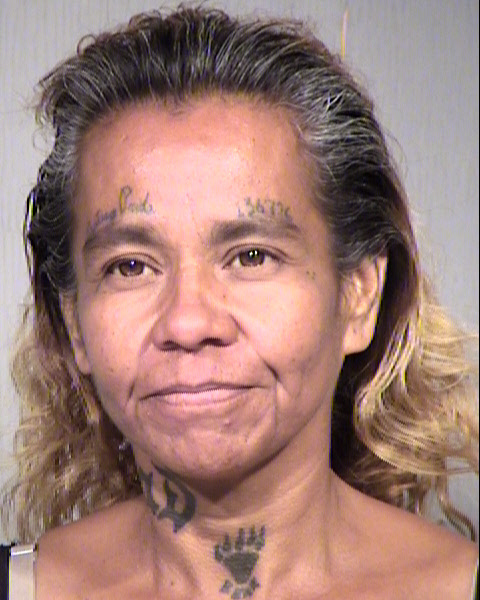 CHRISTINA M WILLIAMS Mugshot / Maricopa County Arrests / Maricopa County Arizona