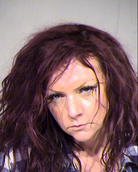 DELAINE ANN YOUNG-BROWN Mugshot / Maricopa County Arrests / Maricopa County Arizona