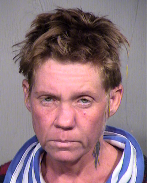 LISA LANGENECKERT Mugshot / Maricopa County Arrests / Maricopa County Arizona