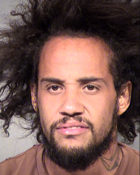 DANIEL LEE WOODS Mugshot / Maricopa County Arrests / Maricopa County Arizona