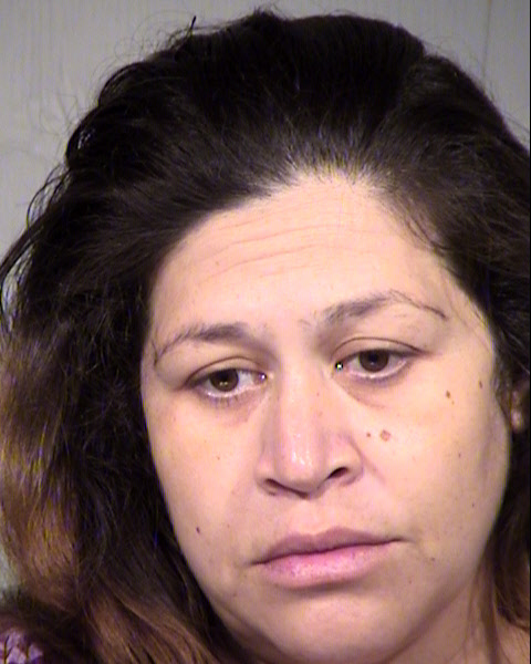 ELSA IVETT GARCIA Mugshot / Maricopa County Arrests / Maricopa County Arizona