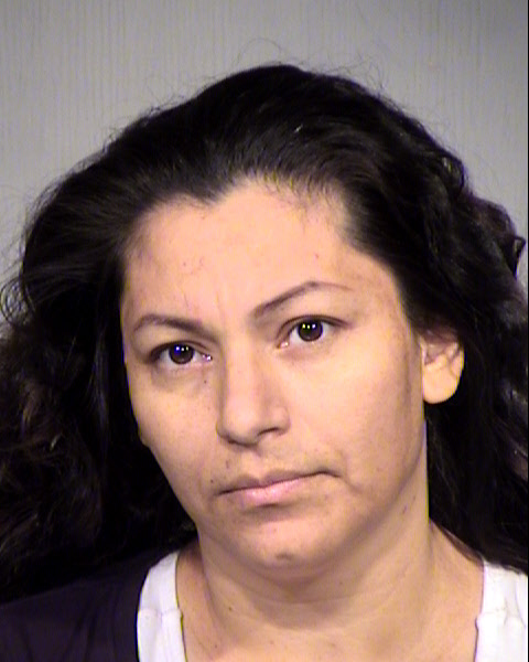 SALOME GIL BORQUEZ Mugshot / Maricopa County Arrests / Maricopa County Arizona