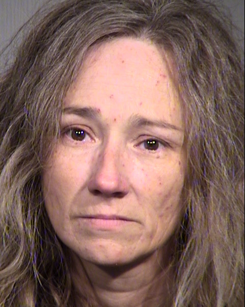 RHONDA L HAWKINS Mugshot / Maricopa County Arrests / Maricopa County Arizona