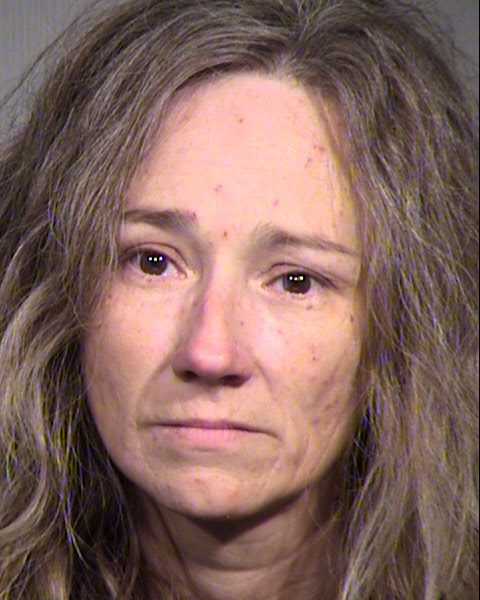 RHONDA L HAWKINS Mugshot / Maricopa County Arrests / Maricopa County Arizona Arrests RHONDA L HAWKINS Mugshot / Maricopa County Arrests / Maricopa County Arizona