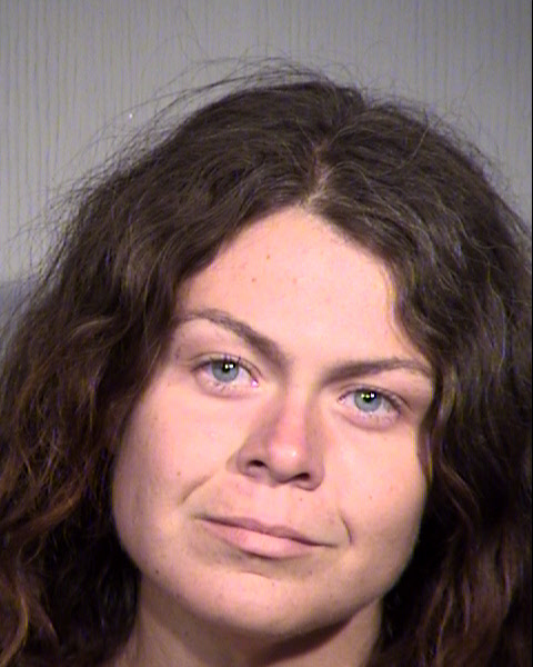 LISA MARIE COLLIER Mugshot / Maricopa County Arrests / Maricopa County Arizona