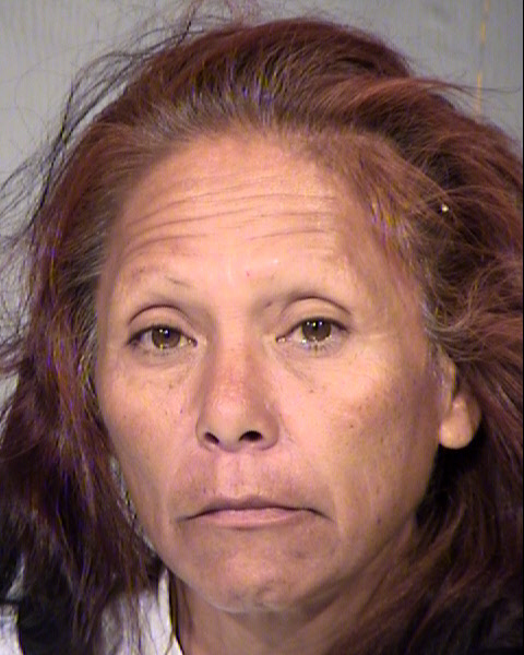 ROSEMARY ABILIO Mugshot / Maricopa County Arrests / Maricopa County Arizona