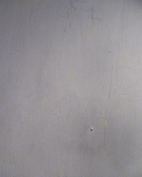 DESTINEE ACACIA MORANT Mugshot / Maricopa County Arrests / Maricopa County Arizona