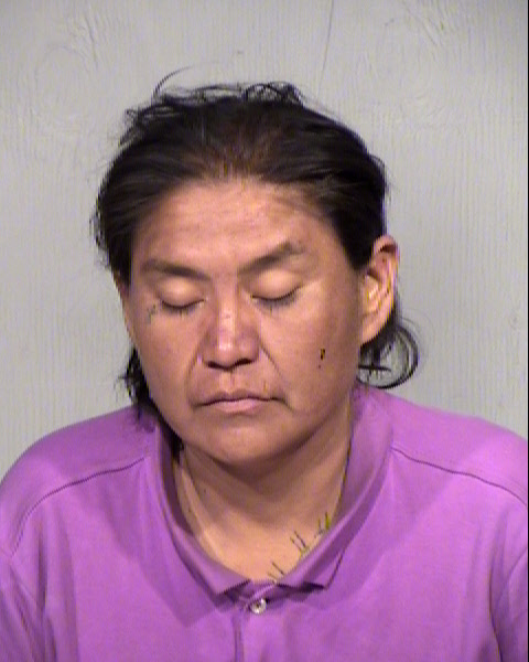 JANIS NEZ Mugshot / Maricopa County Arrests / Maricopa County Arizona