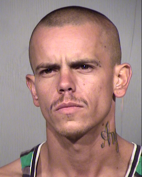 DAVID ALLAN WILSON Mugshot / Maricopa County Arrests / Maricopa County Arizona
