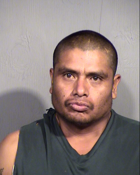 ROBERTO DELFINO Mugshot / Maricopa County Arrests / Maricopa County Arizona