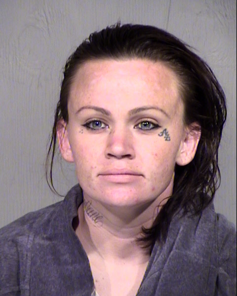 ALICIA ROSE METZGER Mugshot / Maricopa County Arrests / Maricopa County Arizona