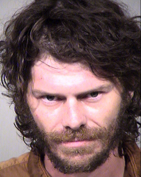 STEVEN THOMAS HANSON Mugshot / Maricopa County Arrests / Maricopa County Arizona