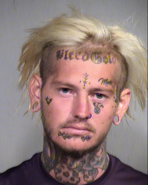 MICHAEL DANMAN FOLMAR Mugshot / Maricopa County Arrests / Maricopa County Arizona