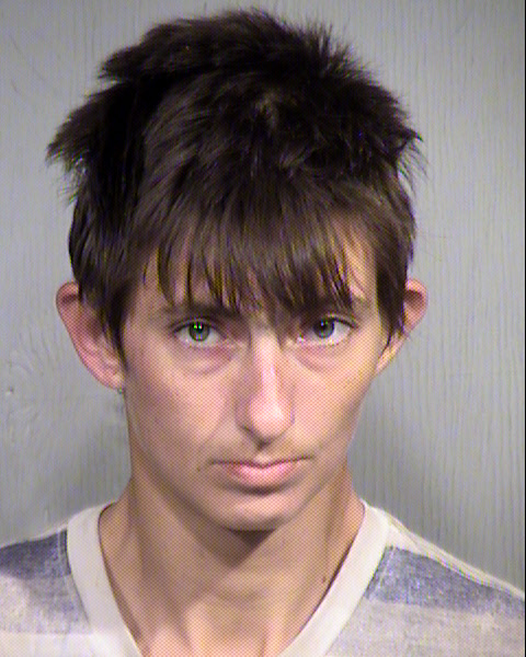 SARAH ELIZABETH LINDBORG Mugshot / Maricopa County Arrests / Maricopa County Arizona