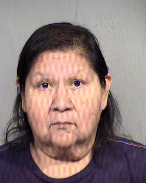 MARY RUYAMA STEPHENS Mugshot / Maricopa County Arrests / Maricopa County Arizona