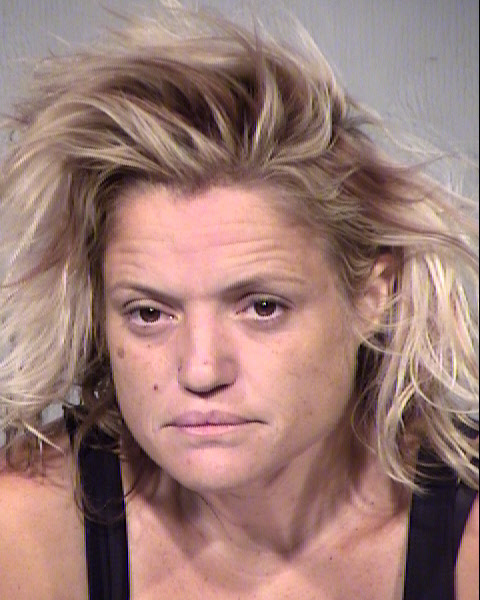 ELLEN LOUISE CASSIDY Mugshot / Maricopa County Arrests / Maricopa County Arizona