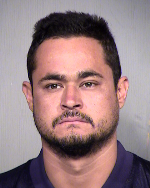 DANIEL GAUZIN Mugshot / Maricopa County Arrests / Maricopa County Arizona