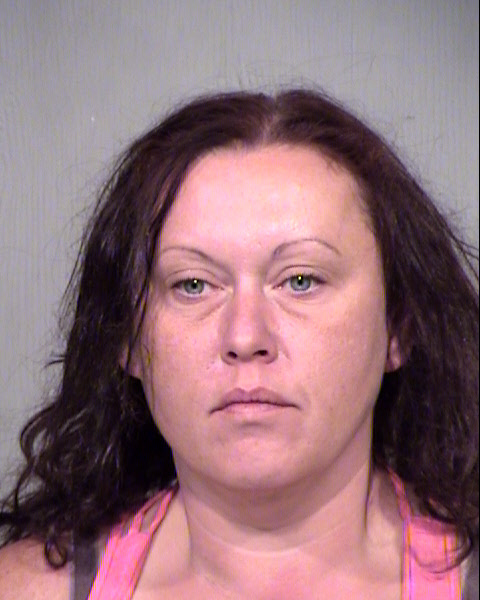 BUFFY LYNN HITCHCOCK Mugshot / Maricopa County Arrests / Maricopa County Arizona
