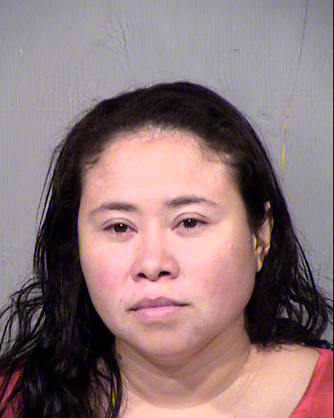 VIVIANA M CHAVEZ Mugshot / Maricopa County Arrests / Maricopa County Arizona