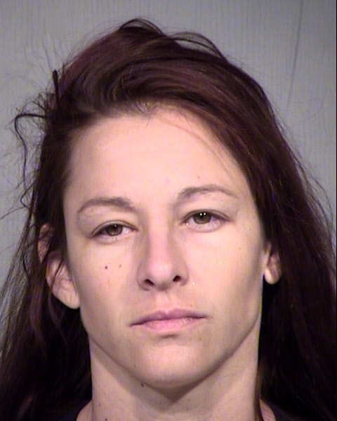 MICHELLE DAWN COLEMAN Mugshot / Maricopa County Arrests / Maricopa County Arizona