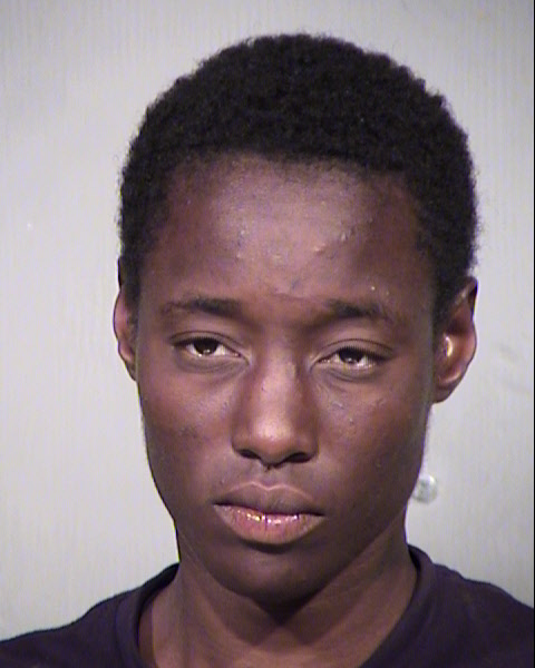 TYNEISHA N HILL Mugshot / Maricopa County Arrests / Maricopa County Arizona