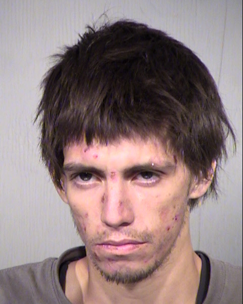 DONALD LEE ROLLAN Mugshot / Maricopa County Arrests / Maricopa County Arizona