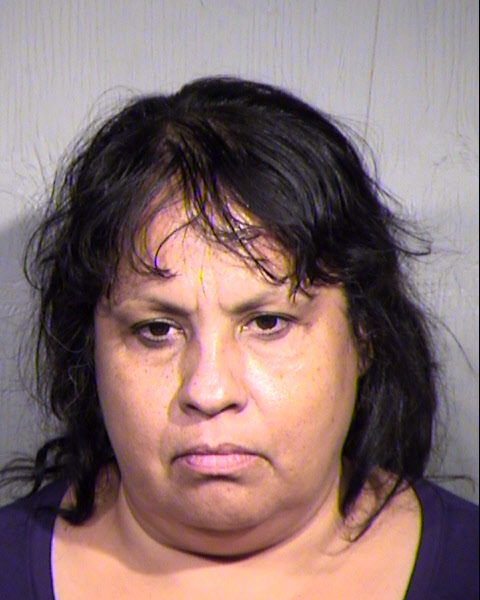 MARIA GUADALUPE GUERRERO Mugshot / Maricopa County Arrests / Maricopa County Arizona