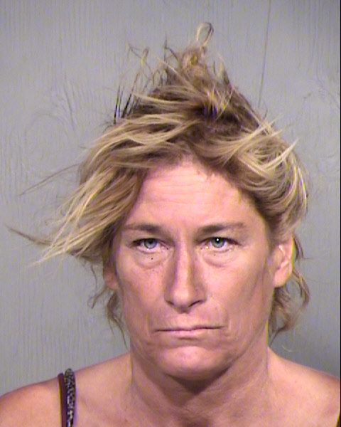 SANDRA LYNN HILMAN Mugshot / Maricopa County Arrests / Maricopa County Arizona