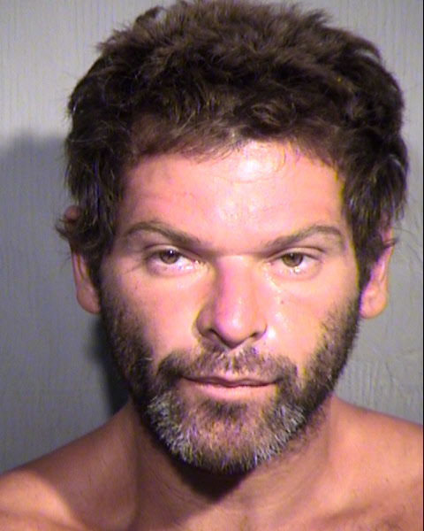 ADRIAN MICHAEL VEAL Mugshot / Maricopa County Arrests / Maricopa County Arizona