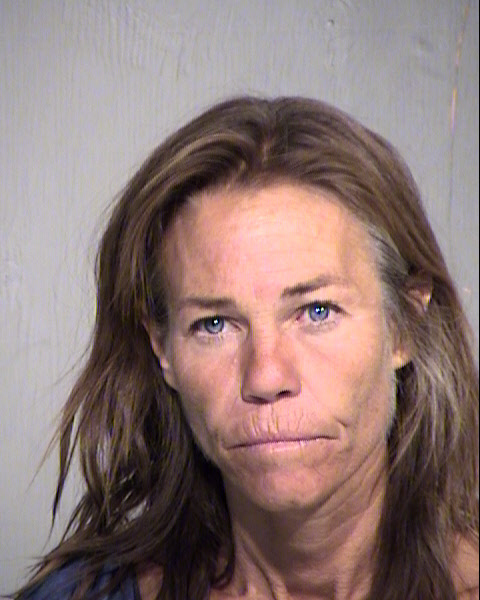 LISA M OWSLEY Mugshot / Maricopa County Arrests / Maricopa County Arizona