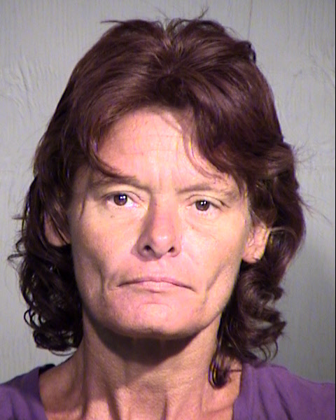 CHRISTINA M COOK Mugshot / Maricopa County Arrests / Maricopa County Arizona