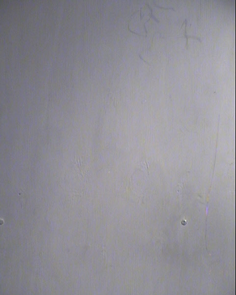 ANNA MAE BLESSING Mugshot / Maricopa County Arrests / Maricopa County Arizona