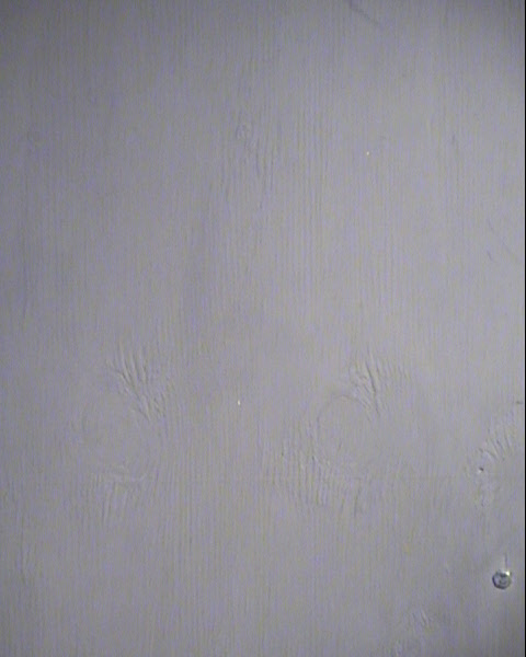 FLOYD ARTHUR TRICE Mugshot / Maricopa County Arrests / Maricopa County Arizona