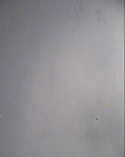 SHARAHN K HOBBS Mugshot / Maricopa County Arrests / Maricopa County Arizona