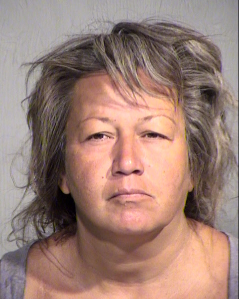 ROSEMARY ANNA THOMPSON Mugshot / Maricopa County Arrests / Maricopa County Arizona