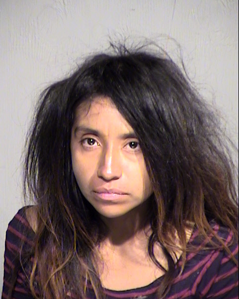 LAURA RAMIREZ Mugshot / Maricopa County Arrests / Maricopa County Arizona