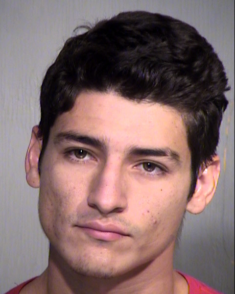 MICHAEL ANGELO VALDENEGRO Mugshot / Maricopa County Arrests / Maricopa County Arizona